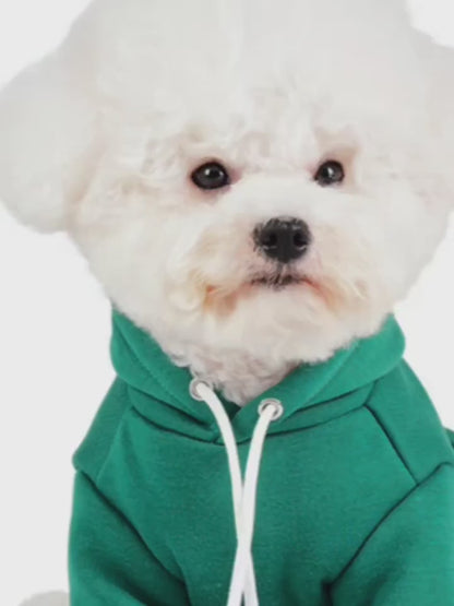 Pull-over pour chien