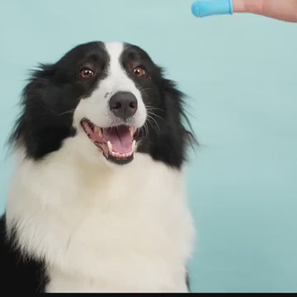 Brosse à doigt douce