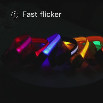 Collier LED réglable