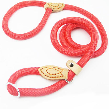 Ceinture anti-traction tressée durable pour chiens