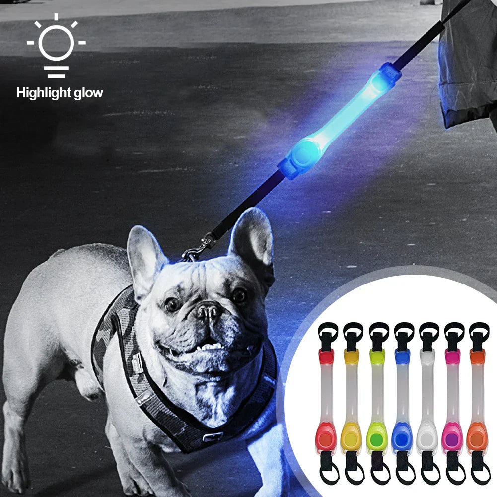 Collier LED de Sécurité Lumineux pour Chiens