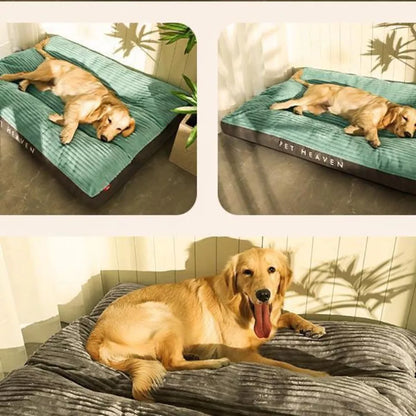 Coussin Orthopédique pour Chiens avec Housse Amovible